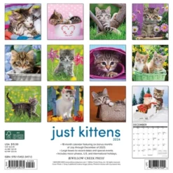 Willow Creek Press 2024 Wall Calendar 12"x12" Just Kittens