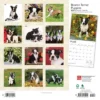 Browntrout 2024 Wall Calendar 12"x12" Boston Terrier