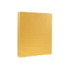 JAM Paper Metallic 110lb Colored Cardstock 8.5 X 11 Gold Stardream 173SD8511GO285