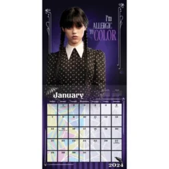 Trends International Inc. 2023-24 Wall Calendar 12"x12" Wednesday